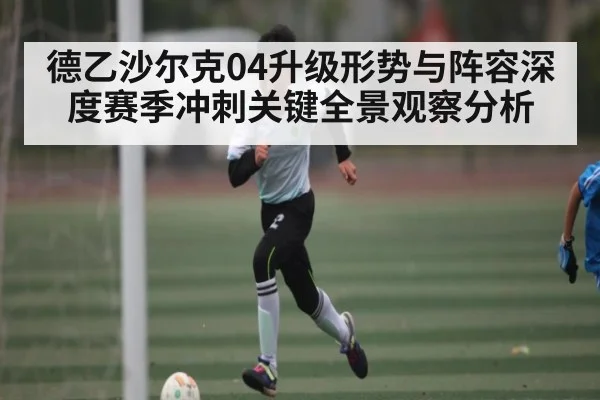 德乙沙尔克04升级形势与阵容深度赛季冲刺关键全景观察分析